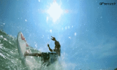 Humor - Fun Deportes Surf Fun - Win 