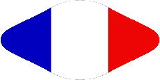 Drapeaux France National Ovale 