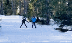 Humor -  Fun Sports Ski Cross-country skiing 
