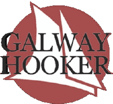 Bevande Birre Irlanda Galway-Hooker 