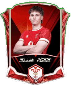 Sport Rugby - Spieler Wales Team 2025 Ellis MEE 
