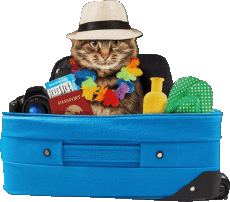 Mensajes Alemán Schöne Ferien Fondo transparente 12 