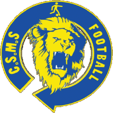 Sportivo Calcio  Club Francia Centre-Val de Loire 45 - Loiret CSM Sully sur Loire 