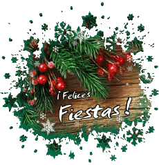 Nachrichten Spanisch Felices Fiestas Serie 14 
