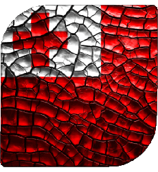 Drapeaux Océanie Tonga Carré 