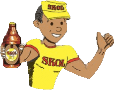 Boissons Bières Brésil Skol 