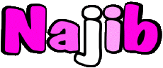 Nombre MASCULINO - Magreb Musulmán N Najib 
