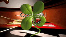 Messages English Good Luck Animated Background 004 