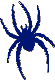 Sports N C A A - D1 (National Collegiate Athletic Association) R Richmond Spiders 
