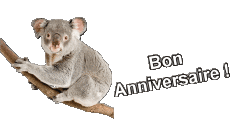 Messages Français Bon Anniversaire Animaux 013 
