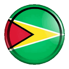 Flags America Guyana Round - Rings 