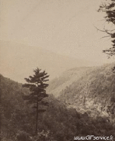 Humour - Fun 3D Effets Stéreoscopique Wiggle 