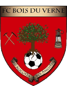 Deportes Fútbol Clubes Francia Bourgogne - Franche-Comté 71 - Saône et Loire FC Bois du Verne 