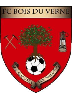 Sports FootBall Club France Logo Bourgogne - Franche-Comté 71 - Saône et Loire FC Bois du Verne 