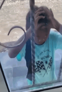 Humor - Fun GENTE Divertidos Niños Serie 02 