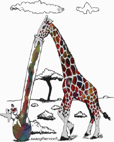 Humour - Fun Animaux Girafes Serie 01 