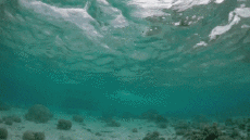 Humor - Fun Deportes Kite Surf Fun Win 