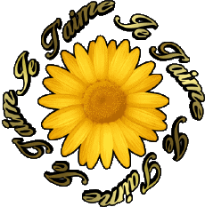 Messages French Je T'aime 03 