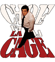 Multi Media Movie France Lino Ventura La Cage 