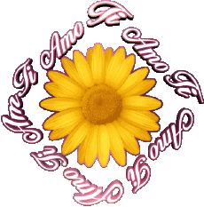 Mensajes Italiano Ti Amo 02 