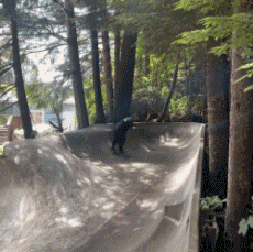 Humor - Fun Deportes Skateboard Free Style Fun - Win 03 