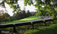 Humour - Fun Sports Trike Drifting Fun - Win 