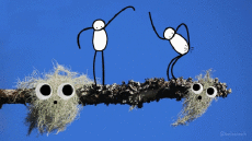 Umorismo -  Fun GIF Artista @Eclectech 