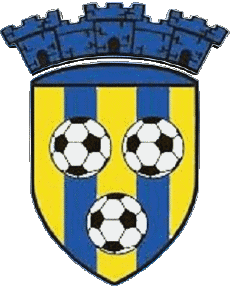 Sports Soccer Club France Centre-Val de Loire 45 - Loiret Av. Courtenay 