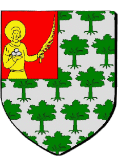 Wappen-Fahnen Frankreich Abteilungen - Städte 82 SAINT ETIENNE DE TULMON 