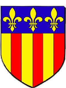 Blazon-Flags France Departments - Cities 37 AMBOISE Blazon