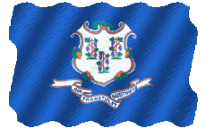 Bandiere America U.S.A - Stati Connecticut Sventola 
