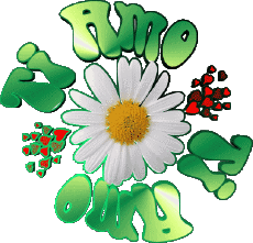 Messages Italian Ti Amo 04 