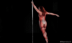 Humor -  Fun PEOPLE Pole Dance Fun Win 