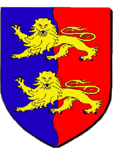 Banderas Francia Departamentos - Ciudades 50 Manche 