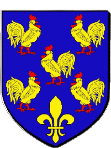 Blasone-Bandiere Francia Dipartimenti - Città 43 YSSINGEAUX Blasone