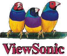 Multimedia Video TV - Hardware ViewSonic 