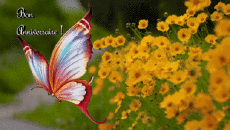 Messages French Bon Anniversaire Papillons Animated Background 004 
