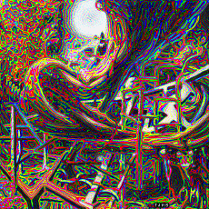 Humor -  Fun GIF Artists Bill Tavis 