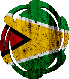 Drapeaux Amériques Guyana Forme 01 