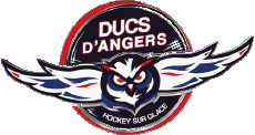 Deportes Hockey - Clubs Francia Ducs d'Angers 