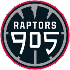 Sports Basketball U.S.A - N B A Gatorade Raptors 905 