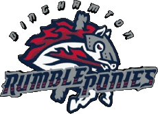Deportes Béisbol U.S.A - Eastern League Binghamton Rumble Ponies 