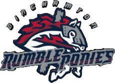 Sport Baseball U.S.A - Eastern League Binghamton Rumble Ponies 