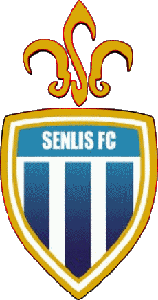 Sports Soccer Club France Hauts-de-France 60 - Oise Senlis Futsal Club 