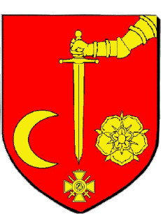 Blasone-Bandiere Francia Dipartimenti - Città 69 BRIGNAIS Blasone