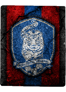 Sports Soccer National Teams - Leagues - Federation Asia South Korea 