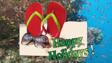 Messages English Happy Holidays Animated Background 005 