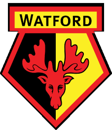 Sports Soccer Club Europa UK Watford 