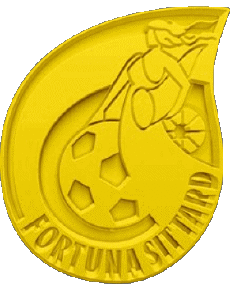 Sports FootBall Club Europe Pays Bas Fortuna Sittard 