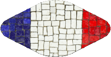 Drapeaux France National Ovale 